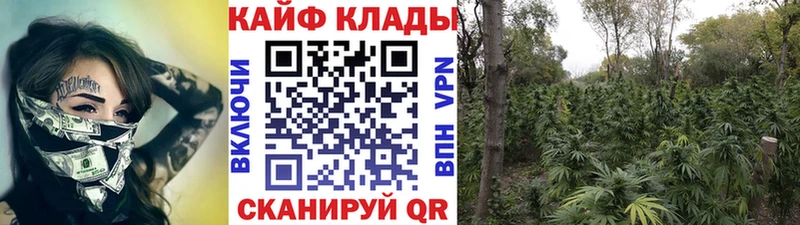 Магазин наркотиков Тихорецк COCAIN  ГАШИШ  гидра сайт  Каннабис  МДМА 