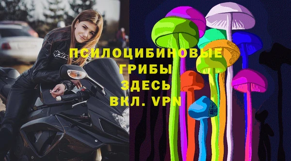 твердый Абаза