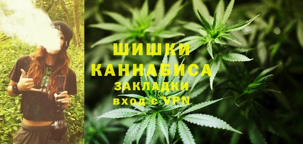 ГАЛЛЮЦИНОГЕННЫЕ ГРИБЫ Абинск
