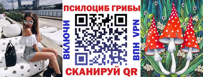 где можно купить наркотик  OMG ТОР  Псилоцибиновые грибы мухоморы  Тихорецк 